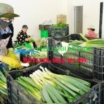 bien-bac-kho-lanh-bao-quan-bia