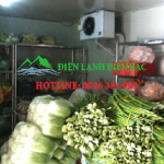 kho lạnh bảo quản nông sản