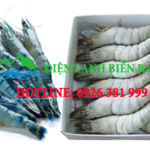 kho-lanh-bao-quan-thuy-san-dong-lanh