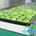 Làm kho lạnh bảo quản hoa quả, lắp đặt kho lạnh bảo quản trái cây, thi công kho lạnh bảo quản