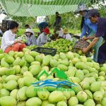 lap-dat-kho-lanh-tai-ha-noi-uy-tin-chat-luong