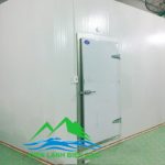 lắp đặt kho lạnh bảo quản nấm, thi công kho lạnh bảo quản nấm, kho lạnh giá rẻ