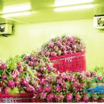 tu-van-thiet-ke-kho-dong-lanh-bao-quan-thuc-pham