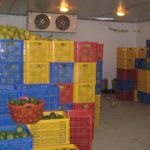 Lắp đặt kho lạnh bảo quản hoa quả, kho lạnh bảo quản trái cây, thi công kho lạnh bảo quản chuyên nghiệp
