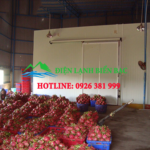 lắp đặt kho lạnh bảo quản nông sản, lắp đặt kho lạnh bảo quản hoa quả, kho lạnh bảo quản trái cây
