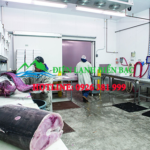 lap-dat-kho-lanh-thuy-san-chat-luong-uy-tin-tai-mien-bac