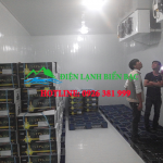 lắp đặt kho lạnh bảo quản hạt giống. thi công kho lạnh bảo quản hạt giống, kho lạnh bảo quản giá rẻ