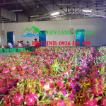 kho lạnh bảo quản nông sản