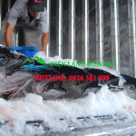 thi-cong-thiet-ke-kho-lanh-uy-tin