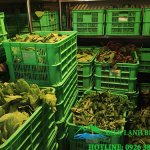 bao-gia-chi-tiet-lap-dat-kho-lanh-tieu-chuan-moi-nhat