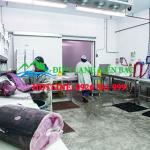 lap-dat-kho-lanh-bao-quan-ca-can-nhung-tieu-chuan-nao