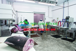 lap-dat-kho-lanh-bao-quan-ca-can-nhung-tieu-chuan-nao