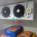 lắp đặt kho lạnh bảo quản thịt bò, lắp đặt kho lạnh bảo quản thịt lợn, lắp đặt kho lạnh bảo quản giá rẻ