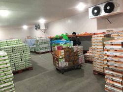 kho lạnh bảo quản sữa tươi