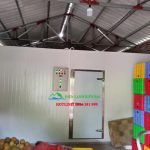 dich-vu-lap-dat-kho-lanh-bao-quan-hoa-qua