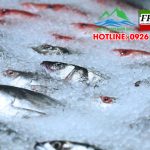 biến đổi của thực phẩm trong kho lạnh