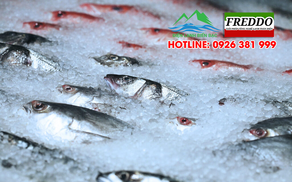 biến đổi của thực phẩm trong kho lạnh