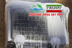 sự cố đóng băng kho lạnh