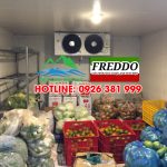 sử dụng kho lạnh bảo quản