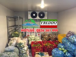 sử dụng kho lạnh bảo quản