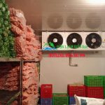 Bảo quản thịt đông lạnh