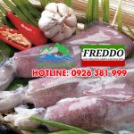 Kho lạnh bảo quản mực