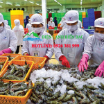 Kho lạnh bảo quản tôm