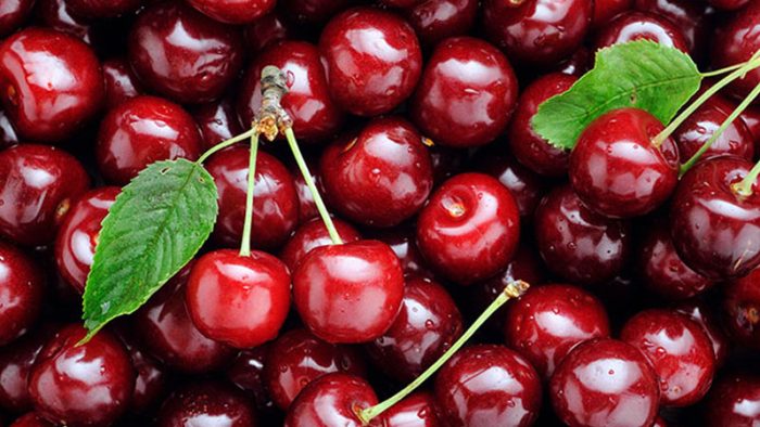 Kho lạnh bảo quản cherry 