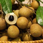 Kho lạnh bảo quản nhãn