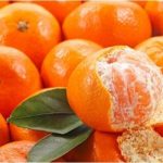 Kho lạnh bảo quản quýt