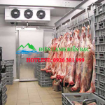 Lắp đặt kho lạnh bảo quản thịt heo