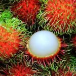Kho lạnh bảo quản chôm chôm