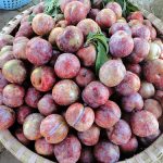 Kho lạnh bảo quản mận