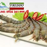 Kho lạnh bảo quản tôm