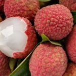 kho lạnh bảo quản vải